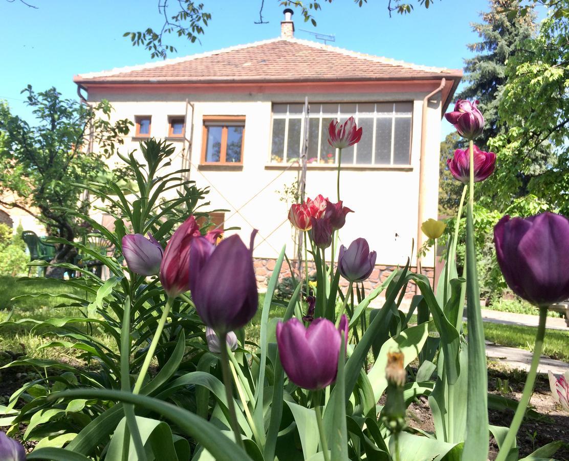 Julius Vendeghaz Hotel Шопрон Екстериор снимка